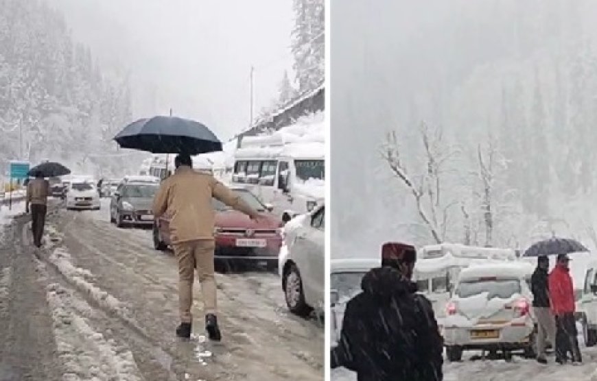 अटल टनल के साउथ पोर्टल से धुंधी तक बर्फबारी ने सैर सपाटे को निकले पर्यटकों की बढ़ाई दिक्कतें  