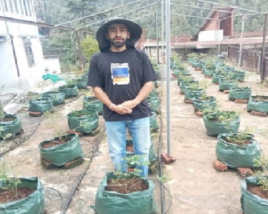 शिमला के बड़श में छत पर बगीचा उगाने वाले युवा इंजीनियर मनन शर्मा युवाओ के लिए बने प्रेरणा स्त्रोत 