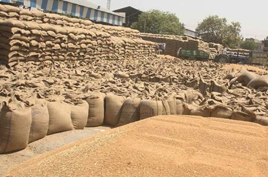 गेहूं खरीद केंद्रों में आठ अप्रैल से गेहूं की खरीद शुरू,255 किसानों ने गेहूं की फसल बेचने को करवाया पंजीकरण  