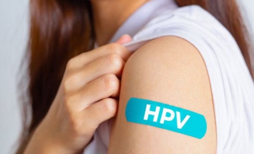 सर्वाइकल कैंसर से बचाव के लिए बच्चियां वैक्सीनेशन के लिए नहीं आ रही आगे,विभाग की ओर से फील्ड में उतारी टीमें  