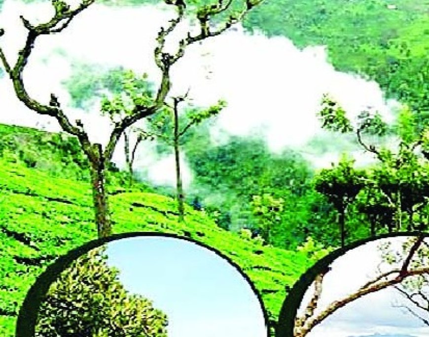 हिमाचल में चिन्हित ईको टूरिज्म साइट्स के आबंटन की प्रक्रिया एक मर्तबा फिर होगी आरंभ  