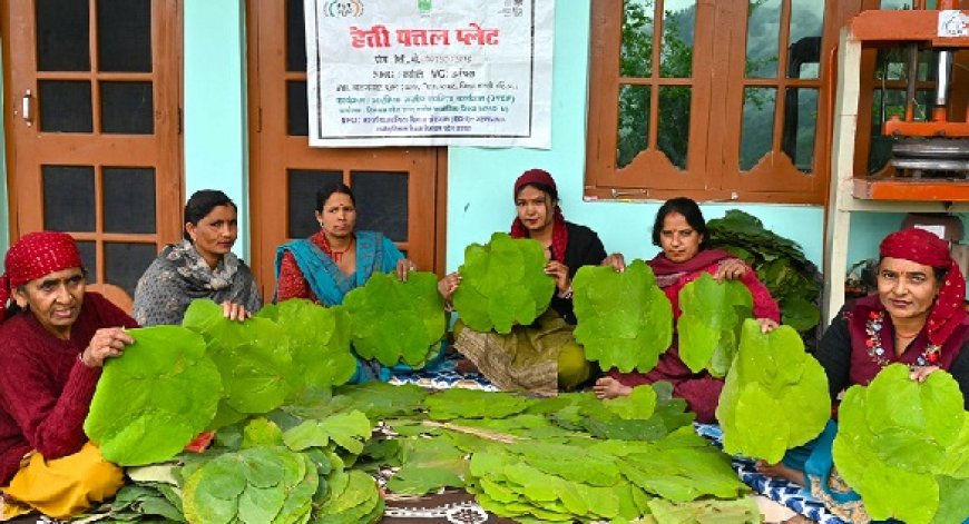 सफलता की कहानी : ज्योति स्वयं सहायता समूह की महिलाएं बनी स्वाबलंबी,पत्तल के काम से कमा रही दस हजार 