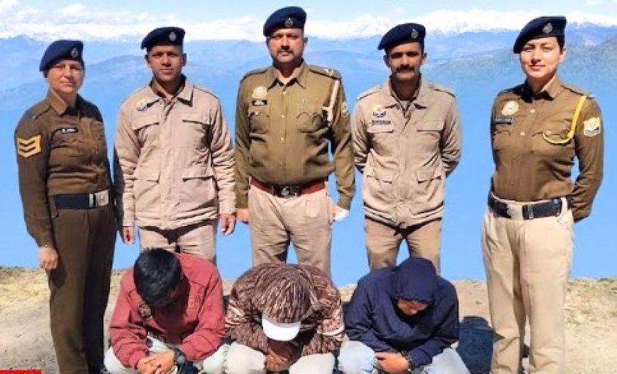 नशा तस्करी के खिलाफ बड़ी कार्रवाई : इनोवा वाहन से 9.28 किलोग्राम अफीम और 12 लाख रुपये नकद बरामद 