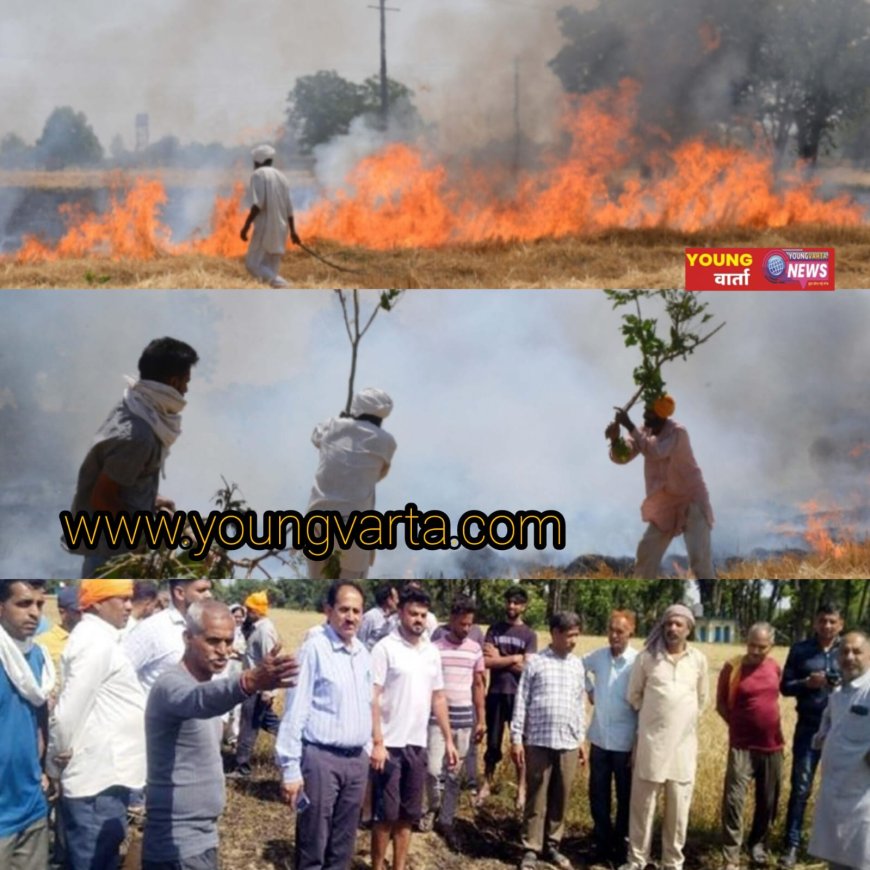 पांवटा साहिब में आग की भेंट चढ़ी 30 बीघा में गेहूं की फसल , बिजली की शार्ट सर्किट से हुआ हादसा 