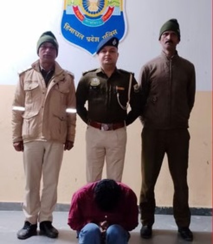 शिमला पुलिस ने एक संगठित अंतरराज्यीय नेटवर्क का किया पर्दाफाश,चिट्टा मामले में मुख्य सप्लायर बिजनौर से गिरफ्तार