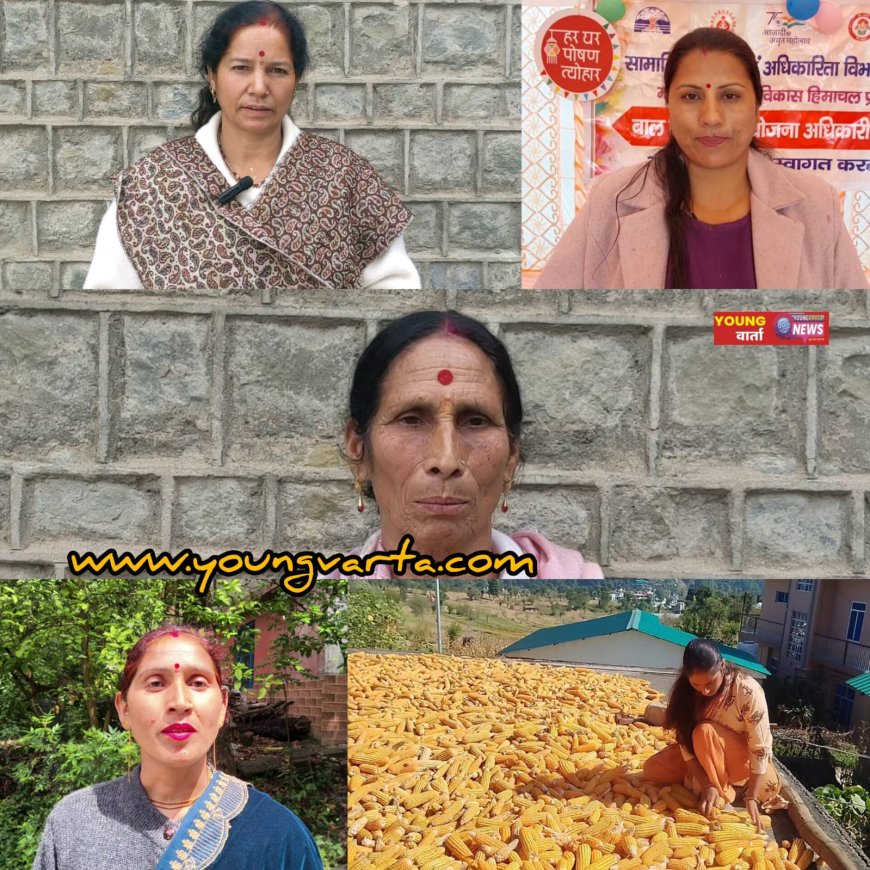 प्राकृतिक खेती को मिला सरकार का सहयोग , अकेले जिला मंडी में जुड़े 23 हजार से अधिक नए किसान