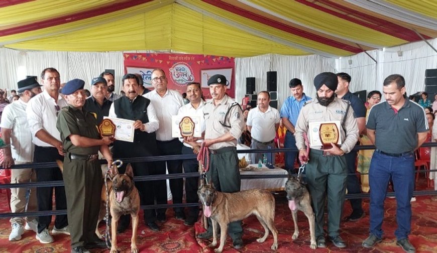 हरोली उत्सव के तीसरे दिन डॉग शो रहा मुख्य आकर्षण