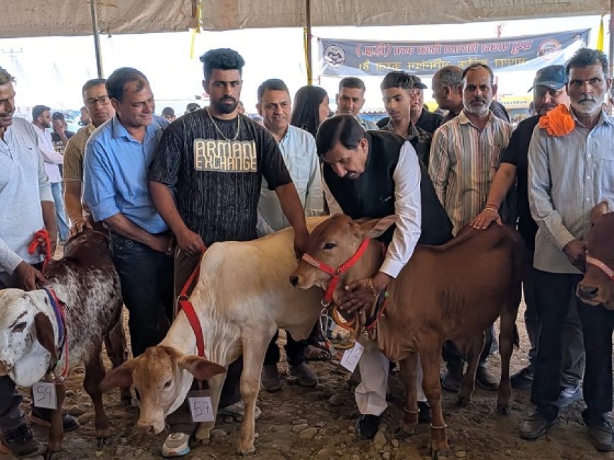 हरोली उत्सव: पशुपालन विभाग की प्रदर्शनीं एवं विशेष गतिविधियों रहीं आकर्षण केन्द्र 