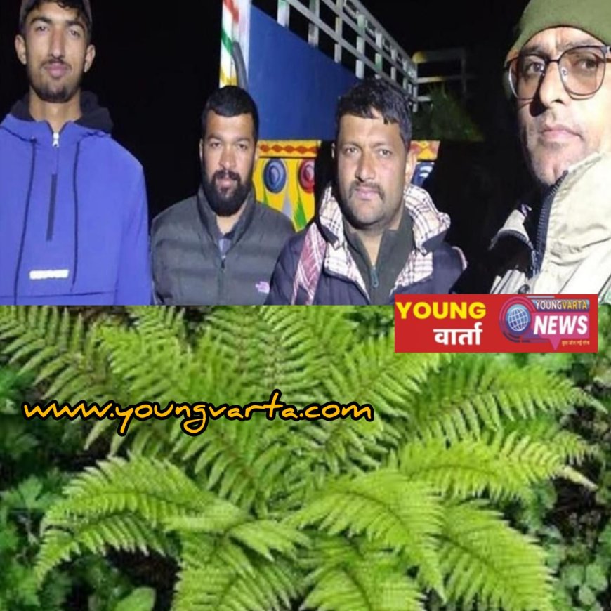 एक क्विंटल फर्न के साथ आरोपी गिरफ्तार , दुर्लभ प्रजाति की वनस्पति हो हो रही थी तस्करी
