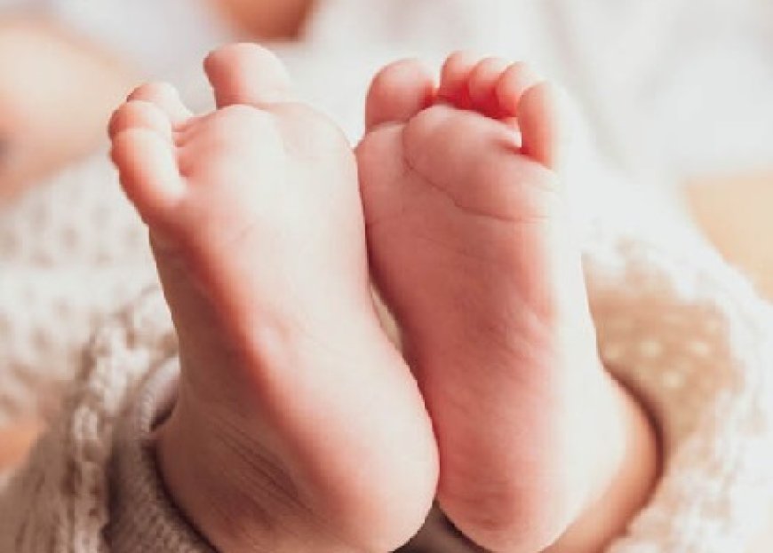 सुंदरनगर अस्पताल में आठ दिन की नवजात बच्ची की उपचार के दौरान मौत,परिजनों का स्टाफ पर लापरवाही के आरोप 