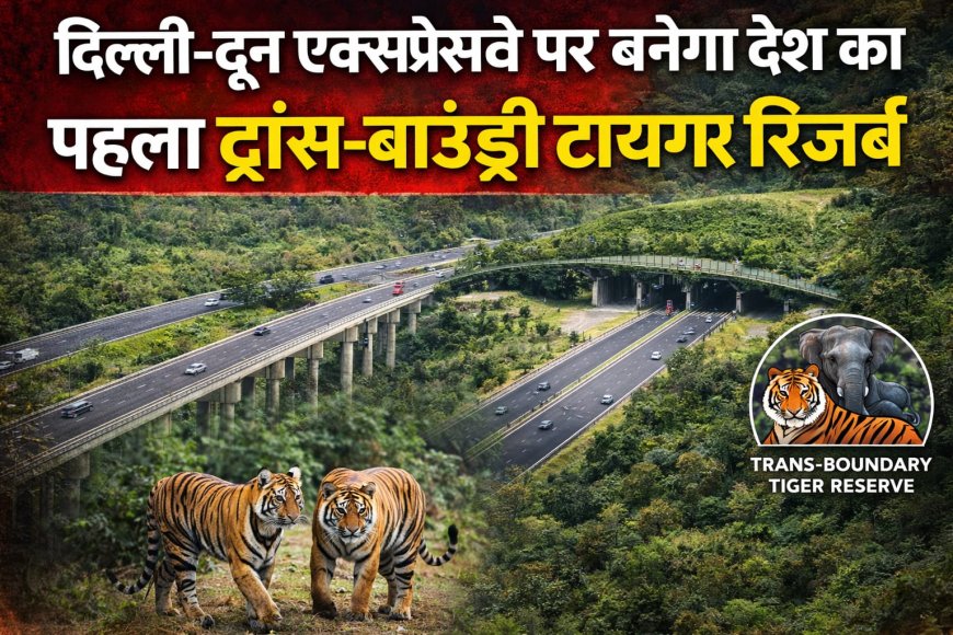 दिल्ली-दून एक्सप्रेसवे पर बनेगा देश का पहला ट्रांस-बाउंड्री टाइगर रिजर्व , वन्यजीव संरक्षण को मिलेगी नई दिशा