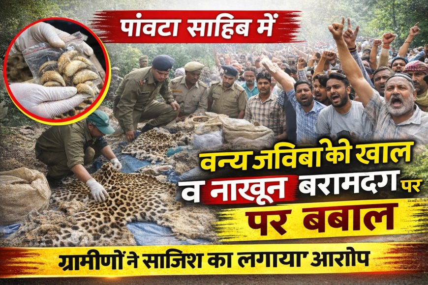 पांवटा साहिब में वन्य जीव अवशेष बरामदगी मामले ने पकड़ा तूल , एसपी से मिलने पहुंचे ग्रामीण , साजिश रचने के आरोप