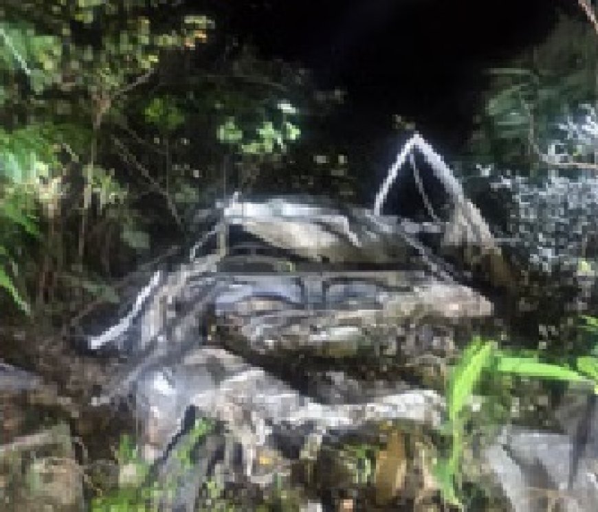 प्रदेश में करसोग-शिमला सड़क पर एक गाड़ी दुर्घटना,हादसे में दो युवकों की मौत