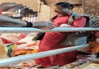 मन्नत पूरी होने पर श्रद्धालुओं ने मां चिंतपूर्णी मंदिर में चढ़ाई पांच किलो चांदी