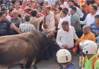 जीत का जश्न मना रही भीड़ पर सांड ने किया हमला, मची भगदड़, 7 लोग घायल