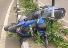 सोलन में भयानक हादसा, तेज रफ्तार स्कूटी डिवाइडर से टकराई; 21 साल के युवक की मौत