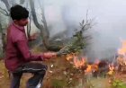 लोहा भलावग के जंगल में लगी भीषण आग, करीब 25 हेक्टेयर वन संपदा के नुकसान होने का अनुमान