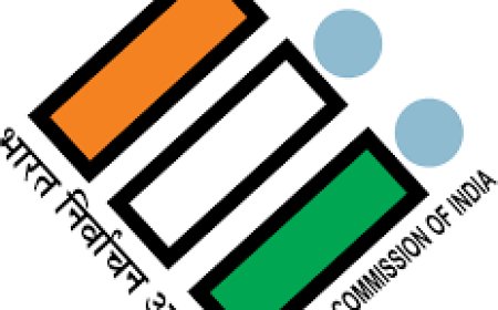 हिमाचल में आउटसोर्स कर्मी, होमगार्ड और कृषि मित्र लड़ सकेंगे चुनाव