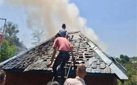 हमीरपुर में पशुशाला में लगी भीषण आग, एक गाय की जलकर मौत