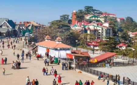 पर्यटन ने पकड़ी रफ्तार, शिमला, धर्मशाला और मनाली में होटल फुल