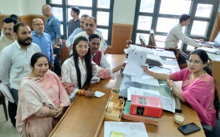 सोलन नगर निगम चुनाव: वार्ड नंबर 6 में भाजपा की नई चाल, अब युवाओं को नजरअंदाज करना मुश्किल