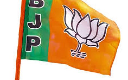 भाजपा ने नाहन के कार्यवाहक बीडीओ परमजीत ठाकुर के तबादले की मांग उठाई, राज्य चुनाव आयोग को सौंपा शिकायत पत्र