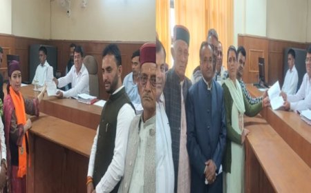 दिलचस्प हुआ जिप चुनाव, सिरमौर के इस वार्ड में दादी-पोती के बीच सियासी संग्राम