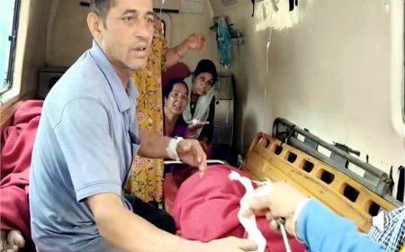 खेत में घास काटने गई बुजुर्ग महिला की मधुमक्खियों ने ली जान, बचाने आए लोगों पर भी किया हमला