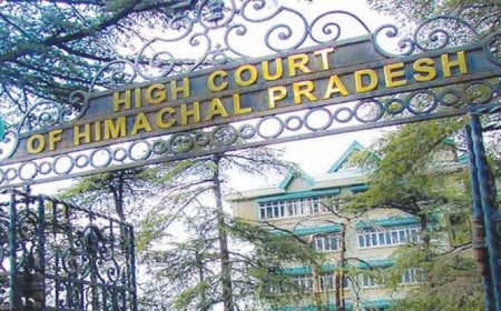 KNH को IGMC शिफ्ट करने पर हाईकोर्ट ने लगाई रोक, फालमा चौहान ने कोर्ट में दायर की थी जनहित याचिका, कोर्ट ने सरकार से मांगा जवाब