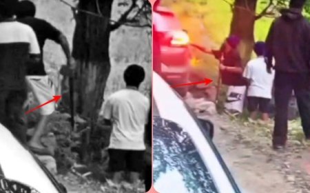पंजाब के पर्यटकों की गुंडागर्दी, तेजधार हथियार से की मारपीट; राहगीर को गाड़ी से मारी टक्कर