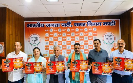 मंडी नगर निगम को आधुनिक, सुरक्षित और व्यवस्थित शहर बनाने का रोडमैप है भाजपा का संकल्प पत्र : अनिल शर्मा