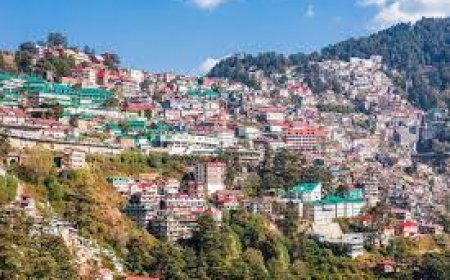 शिमला की पार्किंगों में ‘लूट’ का खेल! एक घंटे की पार्किंग के मांगे 800 रुपये, वीडियो वायरल होने के बाद निगम हरकत में