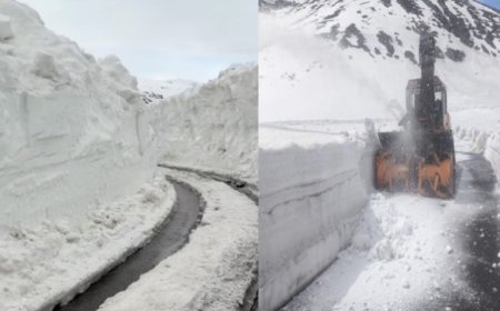 बर्फ की 20 फीट ऊंची दीवारों को काट आगे बढ़ा बीआरओ, पर्यटक जल्द पहुंचेंगे रोहतांग