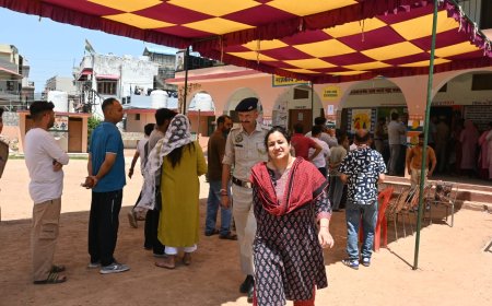 सिरमौर में 67.24 प्रतिशत मतदान दर्ज हुआ- जिला निर्वाचन अधिकारी