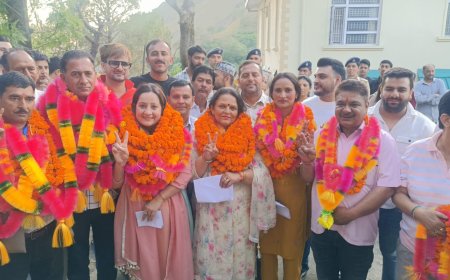 राजगढ़ नगर पंचायत के 5 वार्डों के परिणाम। एक व दो वार्ड में बीजेपी तो 3-4-5 में कांग्रेस विजयी घोषित