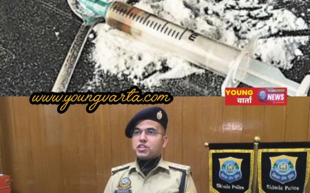 बाहरी राज्यों के तीन मुख्य चिट्टा सप्लायर गिरफ्तार , शिमला पुलिस के हाथ लगी बड़ी सफलता