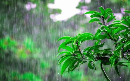हिमाचल में 28 मई से आंधी-ओलावृष्टि का अलर्ट, शिमला-मंडी-कांगड़ा-कुल्लू-चंबा-सिरमौर-सोलन में बरसेंगे बादल
