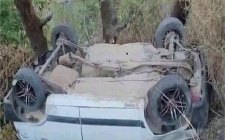 गहरी खाई में गिरी तेज रफ्तार कार, एक की मौत