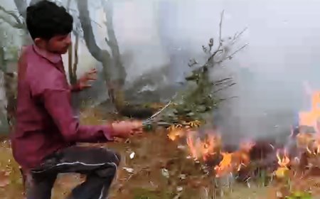 लोहा भलावग के जंगल में लगी भीषण आग, करीब 25 हेक्टेयर वन संपदा के नुकसान होने का अनुमान