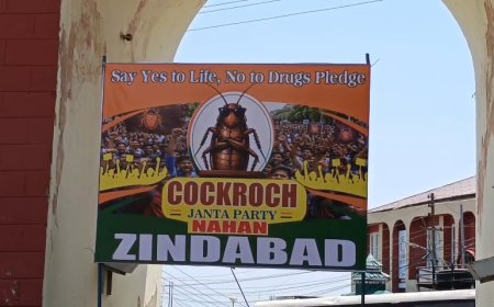 नाहन में कॉकरोच जनता पार्टी की एंट्री,मीठे पानी की छबील लगाकर हर किसी का खींचा ध्यान