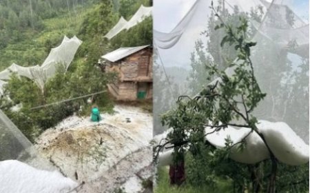 हिमाचल में मौसम ने बदली करवट, चोटियों पर हिमपात, कई भागों में ओलावृष्टि से सेब को नुकसान