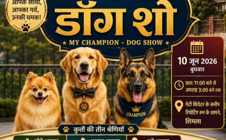 अंतरराष्ट्रीय शिमला ग्रीष्मोत्सव-2026 के अंतर्गत "माय चैंपियन - डॉग शो" का आयोजन 10 जून को