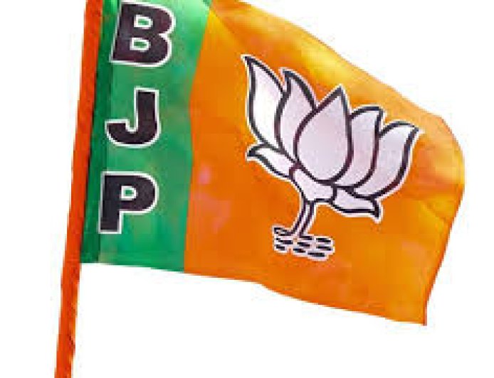 नगर परिषद कांगड़ा पर कांग्रेस का कब्जा, सभी 9 वार्डों में दर्ज की जीत; BJP का सूपड़ा साफ