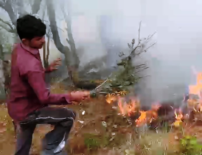 लोहा भलावग के जंगल में लगी भीषण आग, करीब 25 हेक्टेयर वन संपदा के नुकसान होने का अनुमान