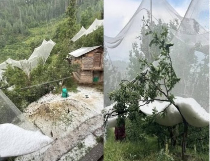 हिमाचल में मौसम ने बदली करवट, चोटियों पर हिमपात, कई भागों में ओलावृष्टि से सेब को नुकसान
