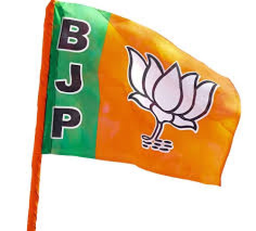 भाजपा ने नाहन के कार्यवाहक बीडीओ परमजीत ठाकुर के तबादले की मांग उठाई, राज्य चुनाव आयोग को सौंपा शिकायत पत्र