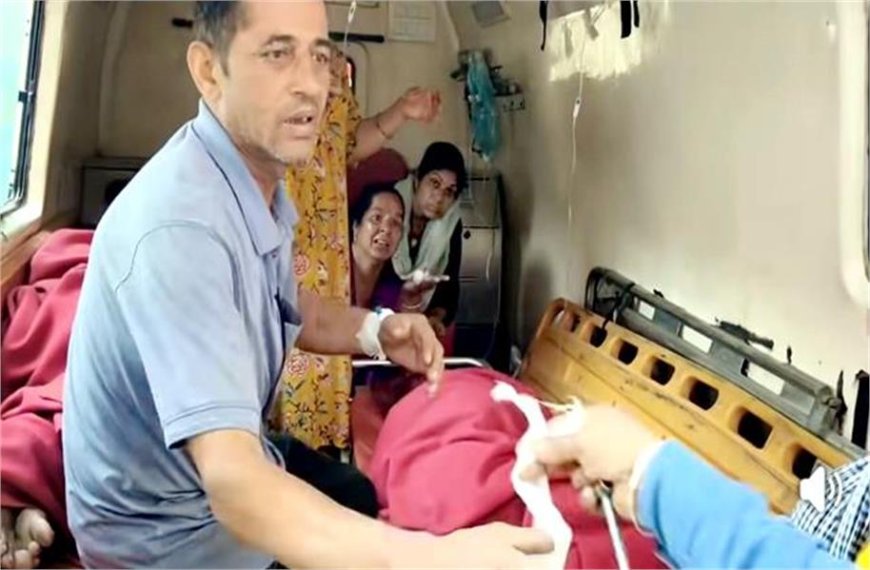 खेत में घास काटने गई बुजुर्ग महिला की मधुमक्खियों ने ली जान, बचाने आए लोगों पर भी किया हमला
