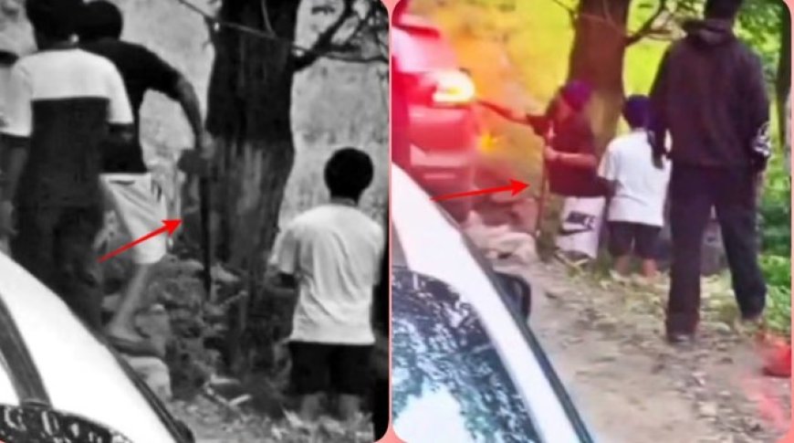 पंजाब के पर्यटकों की गुंडागर्दी, तेजधार हथियार से की मारपीट; राहगीर को गाड़ी से मारी टक्कर
