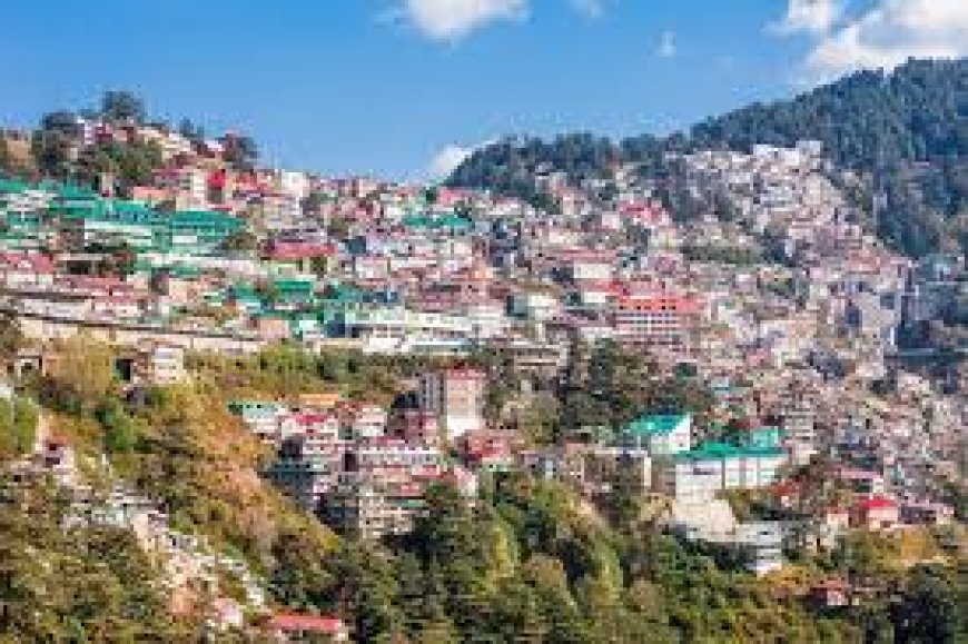 शिमला की पार्किंगों में ‘लूट’ का खेल! एक घंटे की पार्किंग के मांगे 800 रुपये, वीडियो वायरल होने के बाद निगम हरकत में