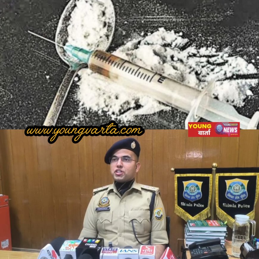 बाहरी राज्यों के तीन मुख्य चिट्टा सप्लायर गिरफ्तार , शिमला पुलिस के हाथ लगी बड़ी सफलता